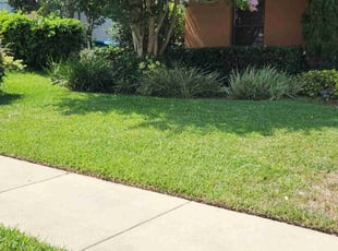 Bush Trimming by Clifton Brown for Joshua C. in Minneola, FL