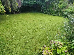 James G.'s Lawn Mowing Service service result