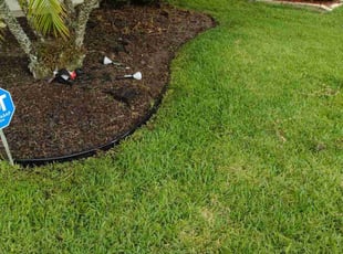 Landscaping by Robby Freedman for Cris P. in Oviedo, FL