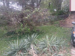 Cleanups by Julio Almestica for Karen D. in Blue Springs, MO