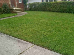 Bush Trimming by Antwain Sears for Andrea M. in Bedford, OH