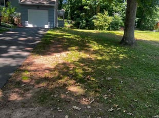Cleanups by Kris Mann for Chris V. in Hamden, CT
