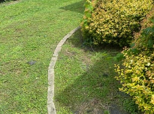 Weeding by Prince Copeland for Travis W. in Hampton, VA