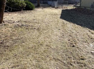 Leaf Removal by Jeff Sidener for Joe B. in Spokane Valley, WA