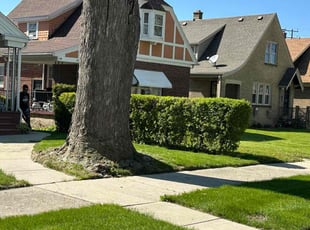 Bush Trimming by Bryan Berg for Derick D. in Milwaukee, WI