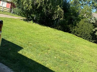 Thomas X.'s Lawn Service service result