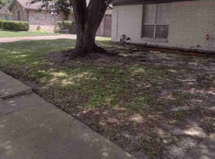 Leaf Removal by Daniel Campos for Tamara W. in Houston, TX