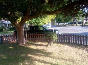 Landscaping by Jason Vizenor for Jason W. in Sacramento, CA