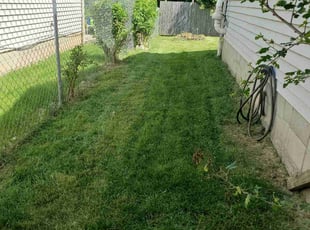 John S.'s Lawn Mowing service result