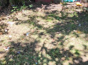 Cleanups by Ruston Tomlinson for SARAH E. in Tulsa, OK