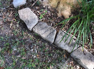 Weeding by Lorraine Best for Jessica S. in McIntosh, FL