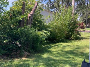 Bush Trimming by Shaun Knipp for Margo M. in Columbus, OH