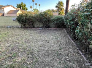 Monique A.'s Bush Trimming service result