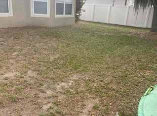 Leaf Removal by Jaylon Fair for Crystal N. in Ocoee, FL