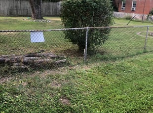 Bush Trimming by Recardo Hunter for Marielle M. in Richmond, VA