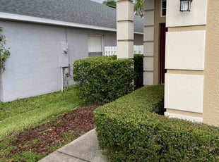Bush Trimming by Robert Coleman for Kayla C. in Orlando, FL