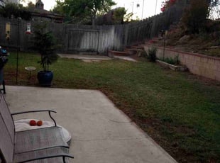 Bush Trimming by Samantha Lingenfelter for Khristina P. in San Diego, CA
