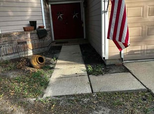 Bush Trimming by Danny Blanco for Carolyn M. in Houston, TX