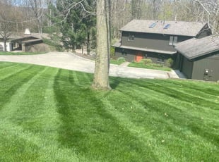 Dillon w.'s Lawn Mowing service result