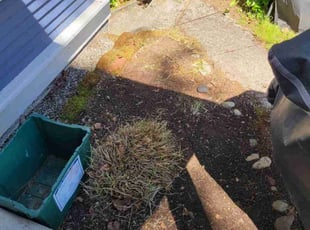 Leaf Removal by Kristofel Simbajon for LeeAnn W. in Seattle, WA