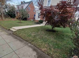 Leaf Removal by Amber Fuentes for Joe P. in Washington, DC