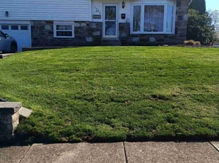 Sharon H.'s Lawn Care service result