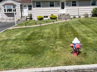 Victor C.'s Lawn Service service result