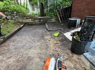 Cleanups by Vincent Daniele for Ross H. in Pittsburgh, PA