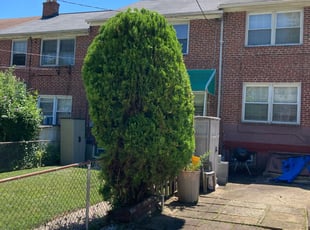 Bush Trimming by Samuel Jordon for Michael B. in Baltimore, MD