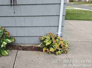 Weeding by Ronald Burton for Brooke S. in Tonawanda, NY