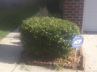 Bush Trimming by Kenneth Isw for Gene J. in Virginia Beach, VA