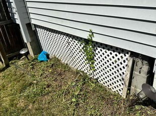 Bush Trimming by Scott Bassett for Janice B. in Bridgeport, CT
