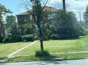 Paula F.'s Bush Trimming service result