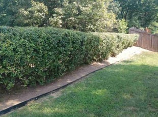 Bush Trimming by Kelly Scarborough for Jennie F. in Woodbridge, VA