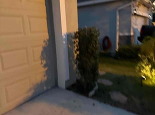 Bush Trimming by Carlos Soriano for Matthew G. in Mount Dora, FL