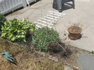 Landscaping by Jamil Hafeeza for Gerald J. in Glassboro, NJ
