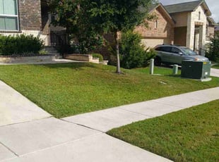 Lashaunda S.'s Yard Cutting service result