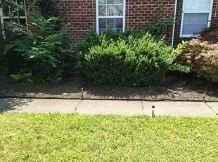 Brandon G.'s Flower Bed Weeding service result
