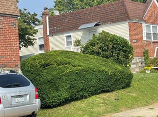 Bush Trimming by Jhon Reyes for Joan S. in Philadelphia, PA