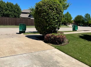 Bush Trimming by Alexander Flores for Tim D. in Denton, TX