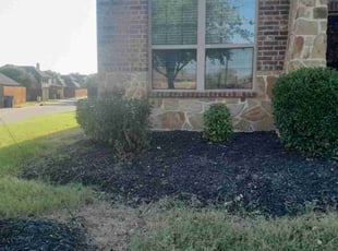 Amber D.'s Bush Trimming service result