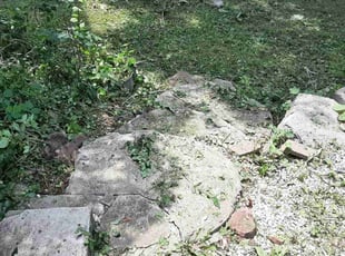 Cleanups by Jacob Smith for Phylis H. in Worcester, MA