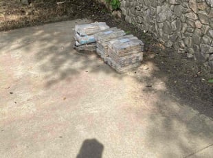 Cleanups by Ivan Pichardo for Sonya B. in Sunnyvale, TX