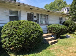 Pal H.'s Bush Trimming service result
