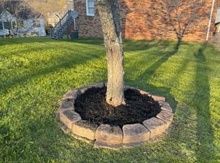 Cleanups by Justin Shugrue for Sri S. in Franklin, TN