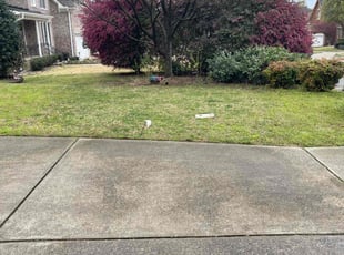 Leaf Removal by Derrick Crudup for Purvi S. in Apex, NC