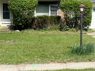 Bush Trimming by Ryan Cooper for Robert G. in Grand Rapids, MI