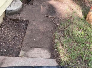 Leaf Removal by Sedrick Wesley for Holly J. in Independence, MO