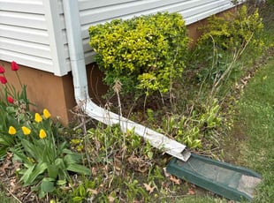 Bush Trimming by Ricardo Flores for Porshia G. in Waukegan, IL
