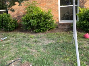 Leaf Removal by Adolfo Gonzalez Castaneda for Henry G. in DeSoto, TX